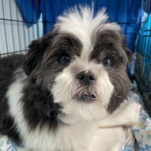 Meet your Posher, Margaret